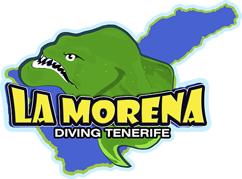 Diving Tenerife - La Morena