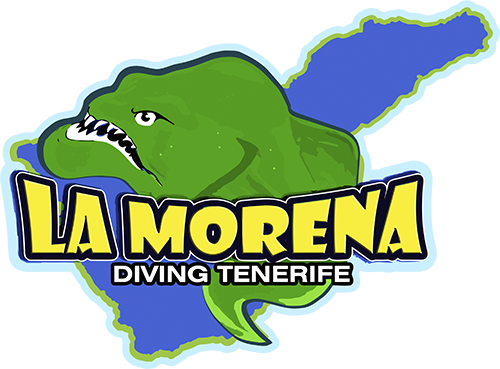 La Morena - Diving Tenerife